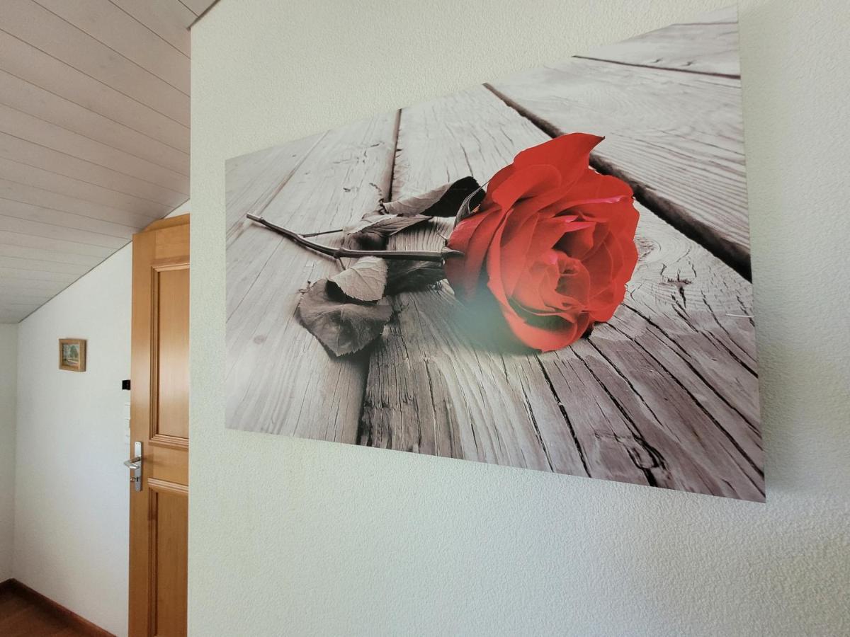 Ferienwohnung Bally ブルンネン エクステリア 写真